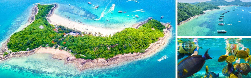 đảo coral thái lan