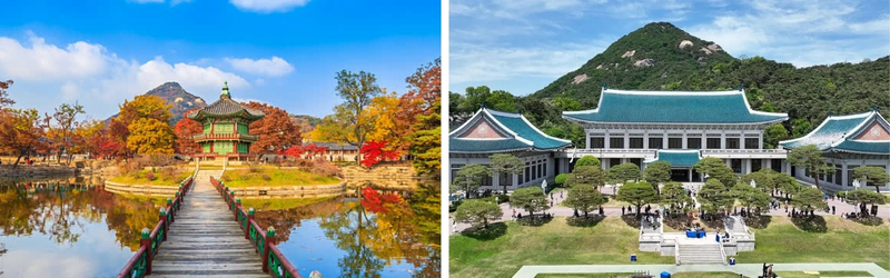 Cung Điện Gyeongbok & Nhà Xanh Hàn Quốc