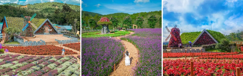 fresh garden đà lạt