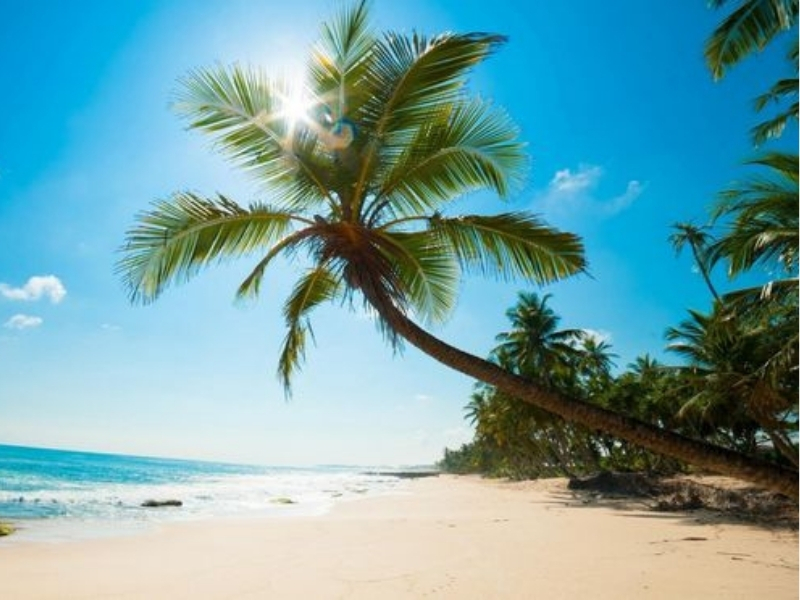 bãi rạng phan thiết