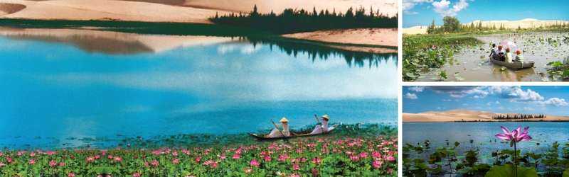 bàu sen phan thiết