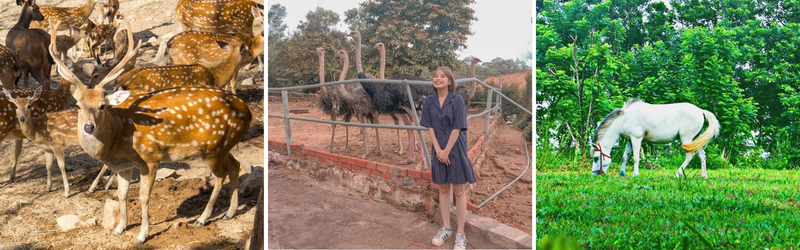 sở thú hồ mây