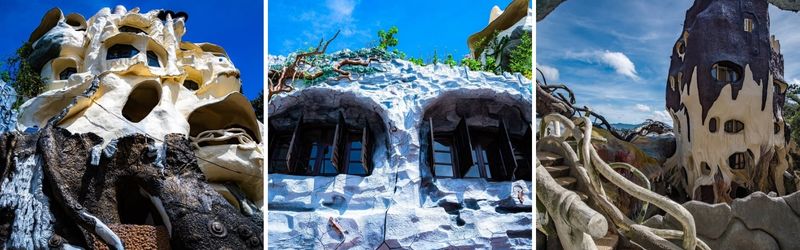 cửa sổ crazy house
