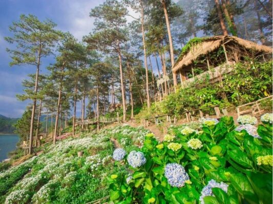 happy hill đà lạt