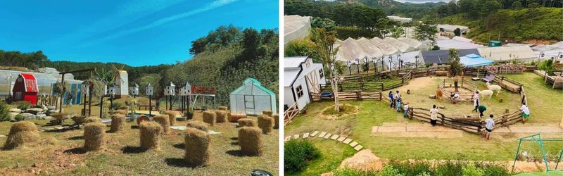 không gian frenzy farm