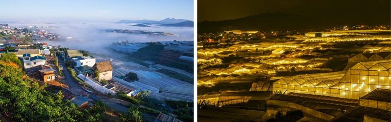 thời điểm đẹp làng hoa thái phiên