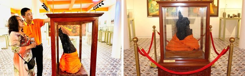 gốc cây dừa sáp đầu tiên